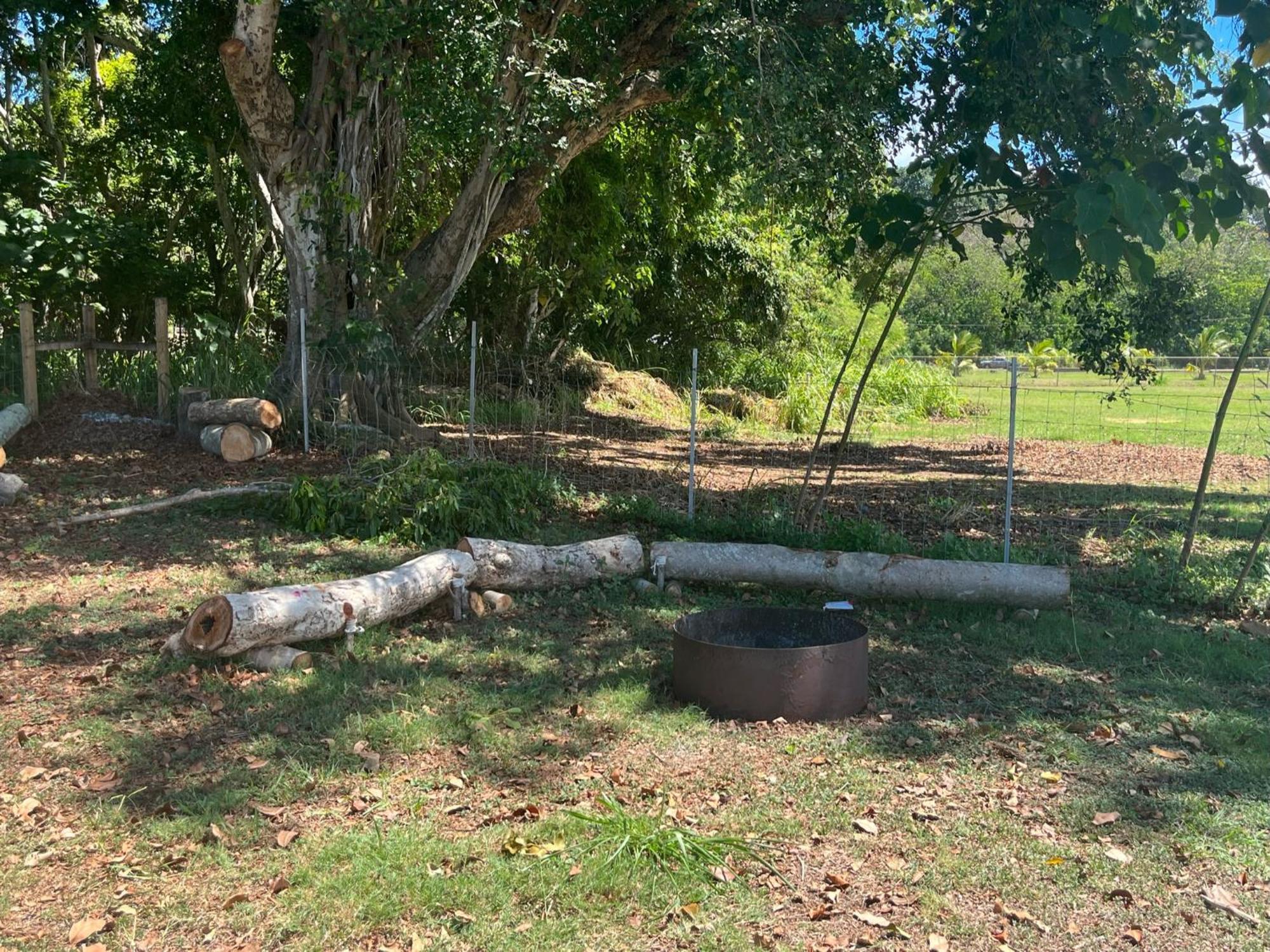 North Shore Glamping Camping Laie, Oahu, Hawaii Zewnętrze zdjęcie