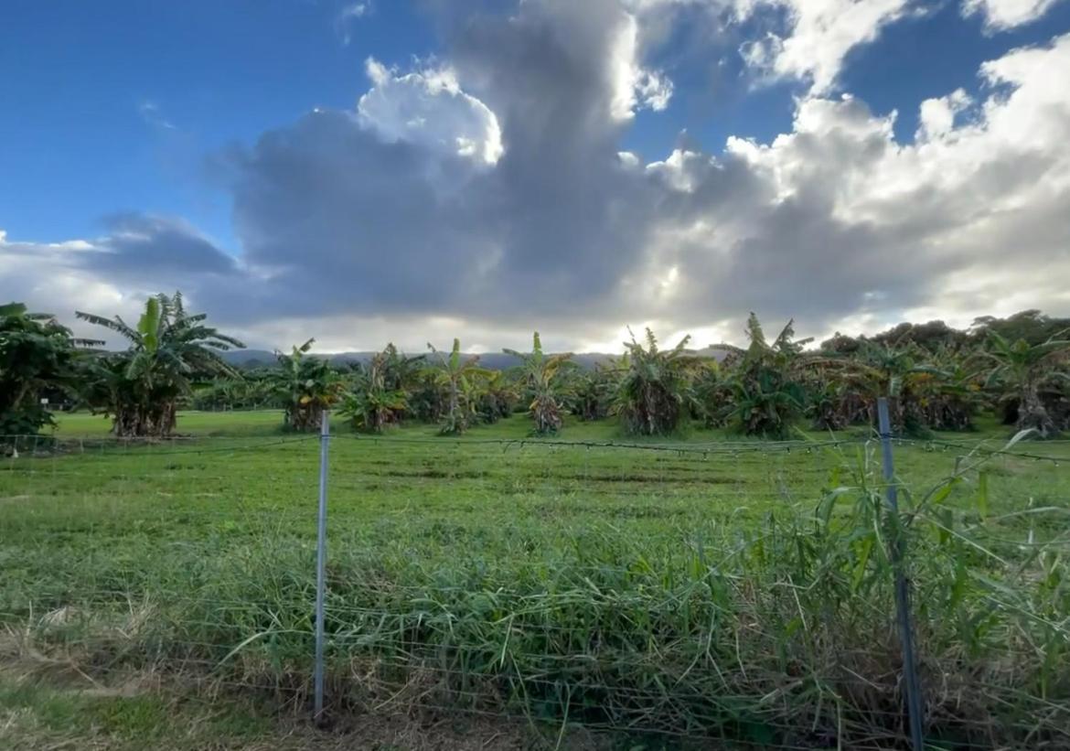 North Shore Glamping Camping Laie, Oahu, Hawaii Zewnętrze zdjęcie