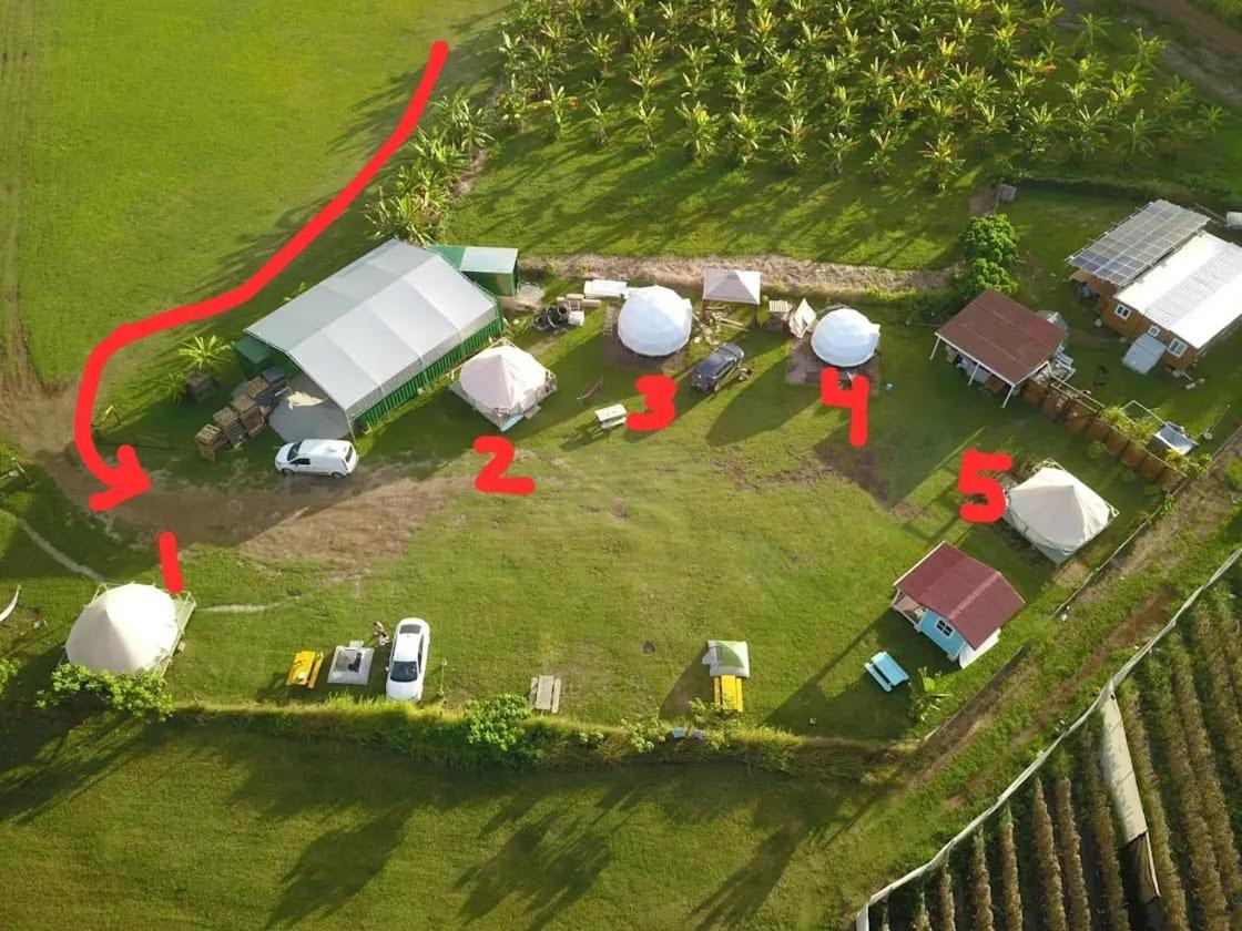 North Shore Glamping Camping Laie, Oahu, Hawaii Zewnętrze zdjęcie